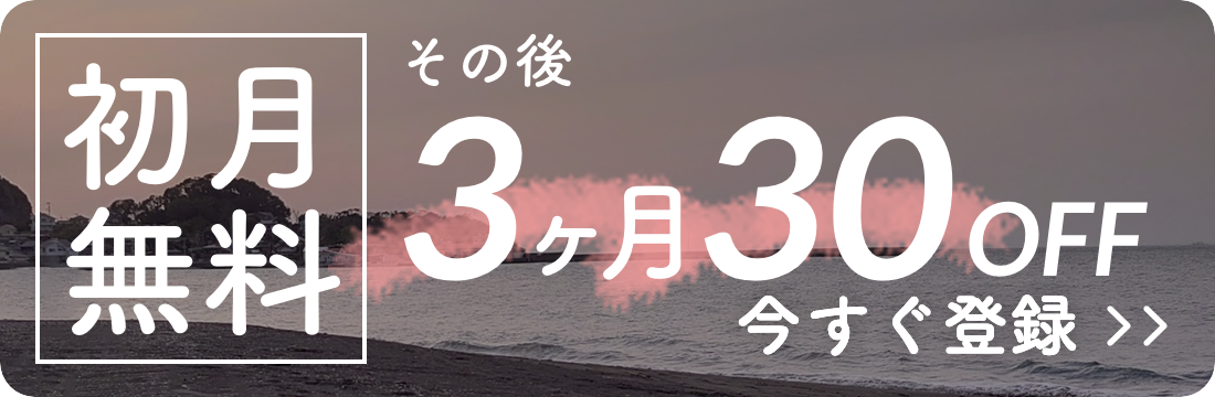 初月無料 3ヶ月30%オフ